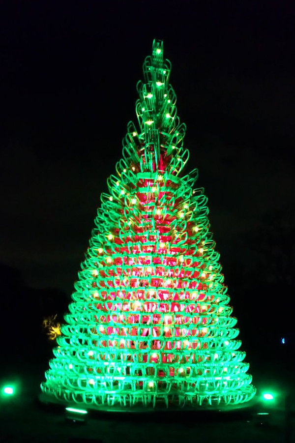 This is one of the many trees lit for Xmas